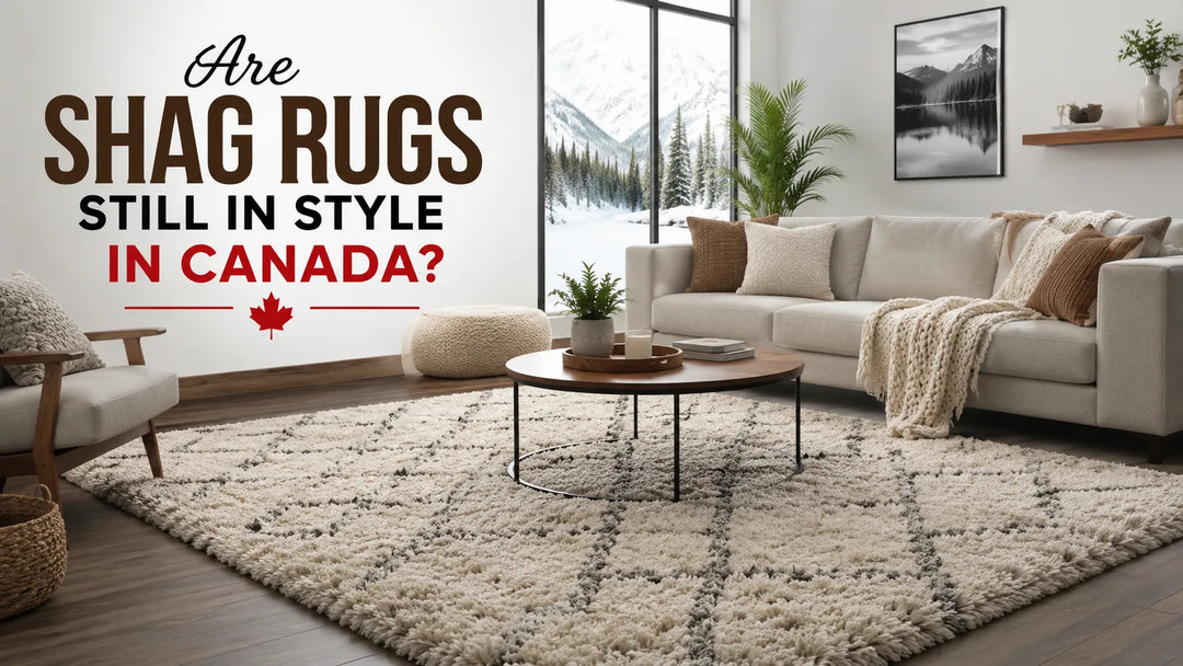 Are Shag Rugs Still in Style in Canada? A Complete Guide to Choosing, Decorating, and Maintaining Shag Rugs