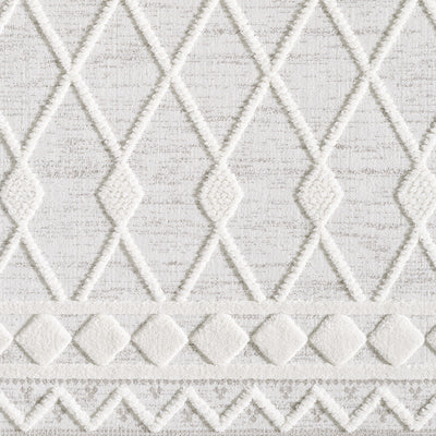 Moroccan Rug Carpet