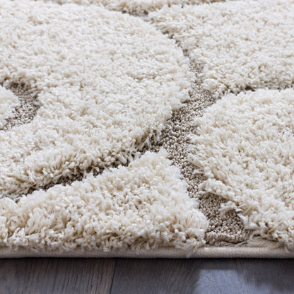 Soft and Plush Floral Curves Cream Shaggy Rug