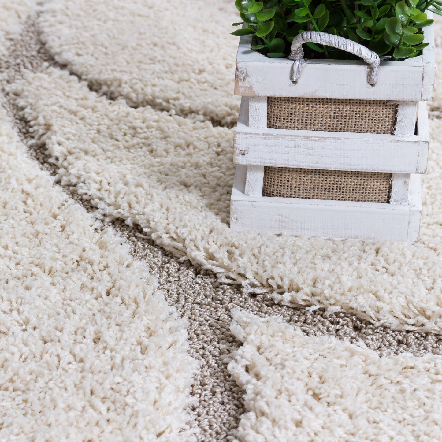 Soft and Plush Floral Curves Cream Shaggy Rug