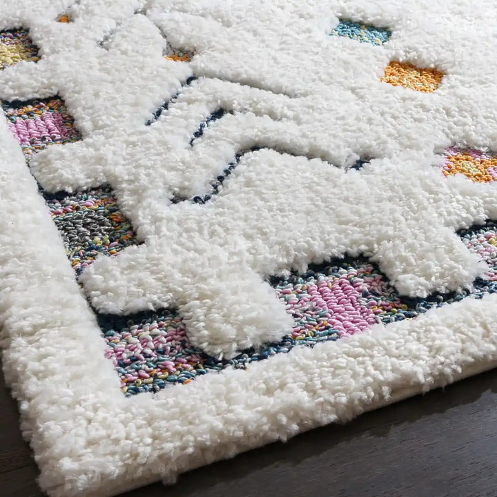 Off-White Multicolor Contemporary Boho Shag Rug