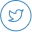 twitter icon